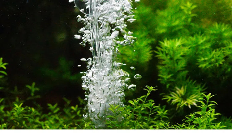 Hailea 220v Air Compressor for Aquarium Accessories 70L/MIN Electromagnetic Pump Fish Tank Accessories Aerator for Aquarium Pet