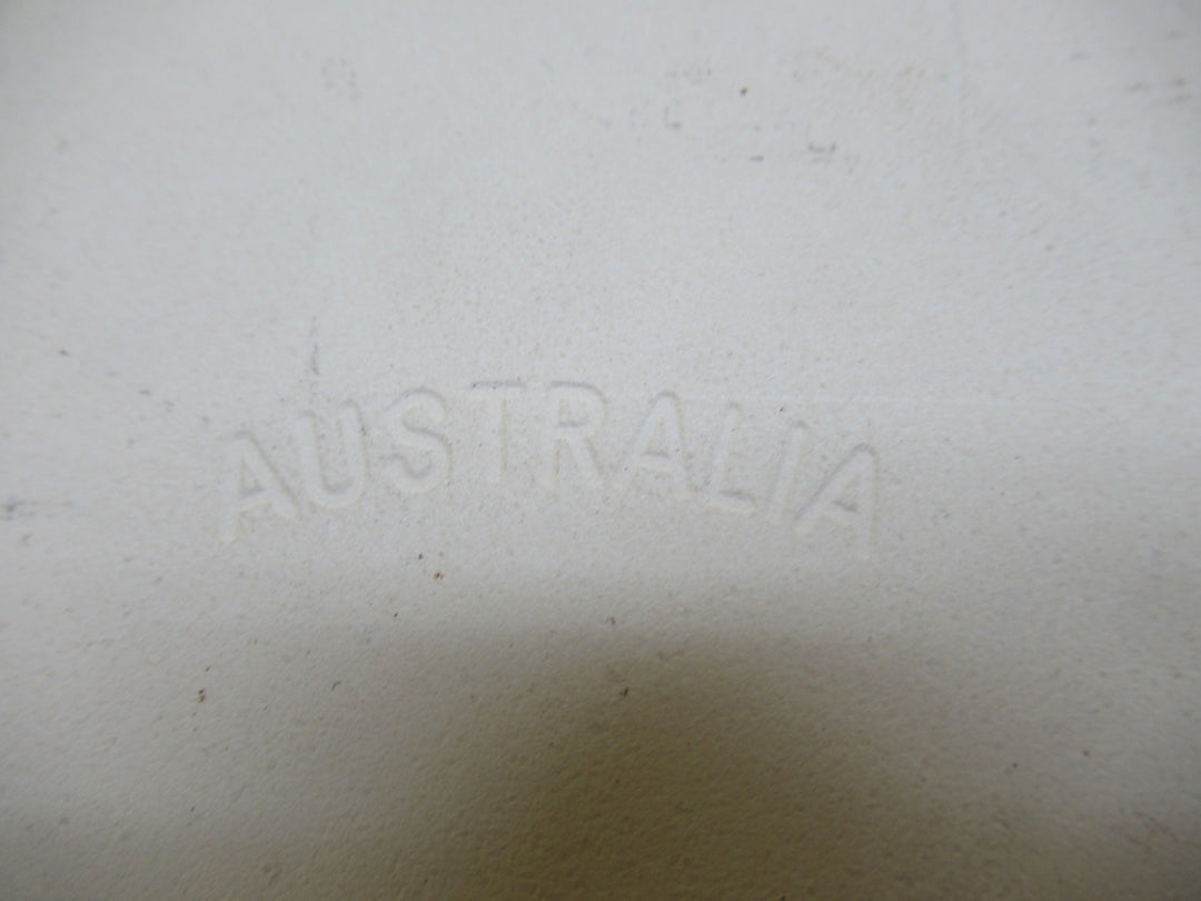 Johnson Tiles with a Waratah Flower 155Sq