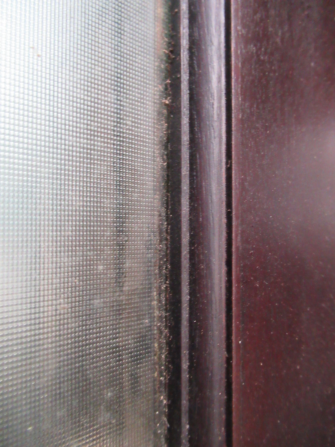 Indonesian Solid Mahogany 1 Lite Obscure Door 610-750 x 2400