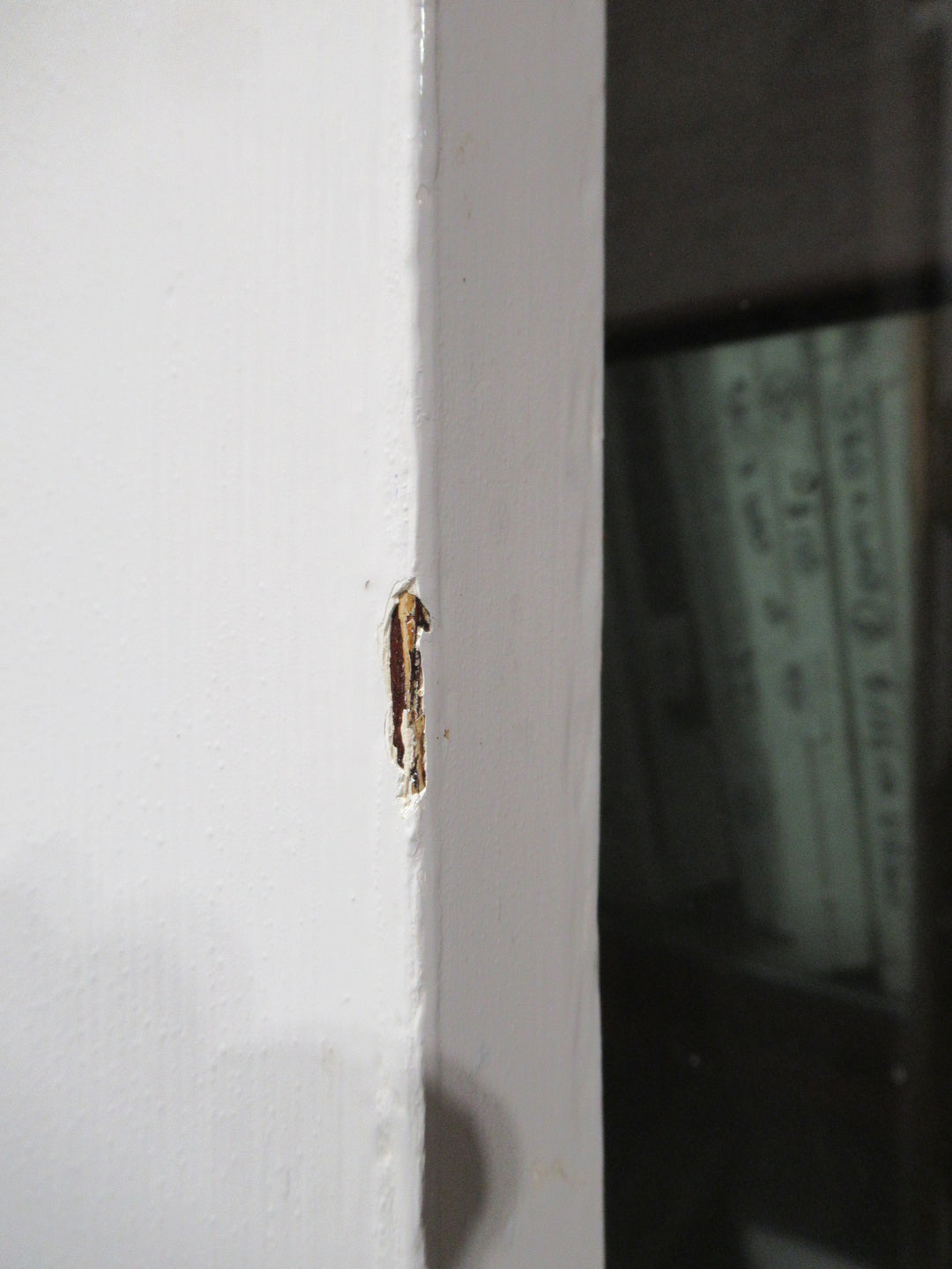 Craftsman Cedar Oregon 1 Lite 3 Panel Door 2030H x 810W x 40D