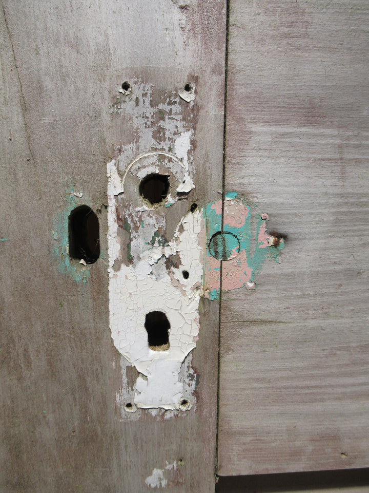 1 Lite Craftsman Door 2030H x 810W x 45D