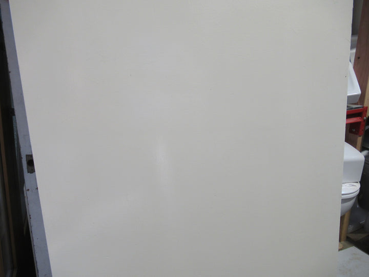 Hollow Core Varnish/Painted Door   1970H x 810W x 40D