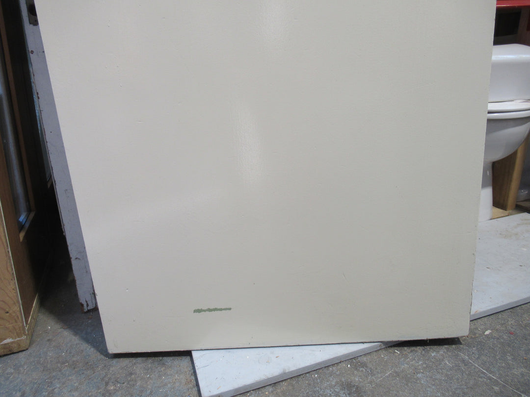 Hollow Core Varnish/Painted Door   1970H x 810W x 40D