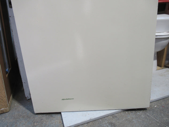 Hollow Core Varnish/Painted Door   1970H x 810W x 40D