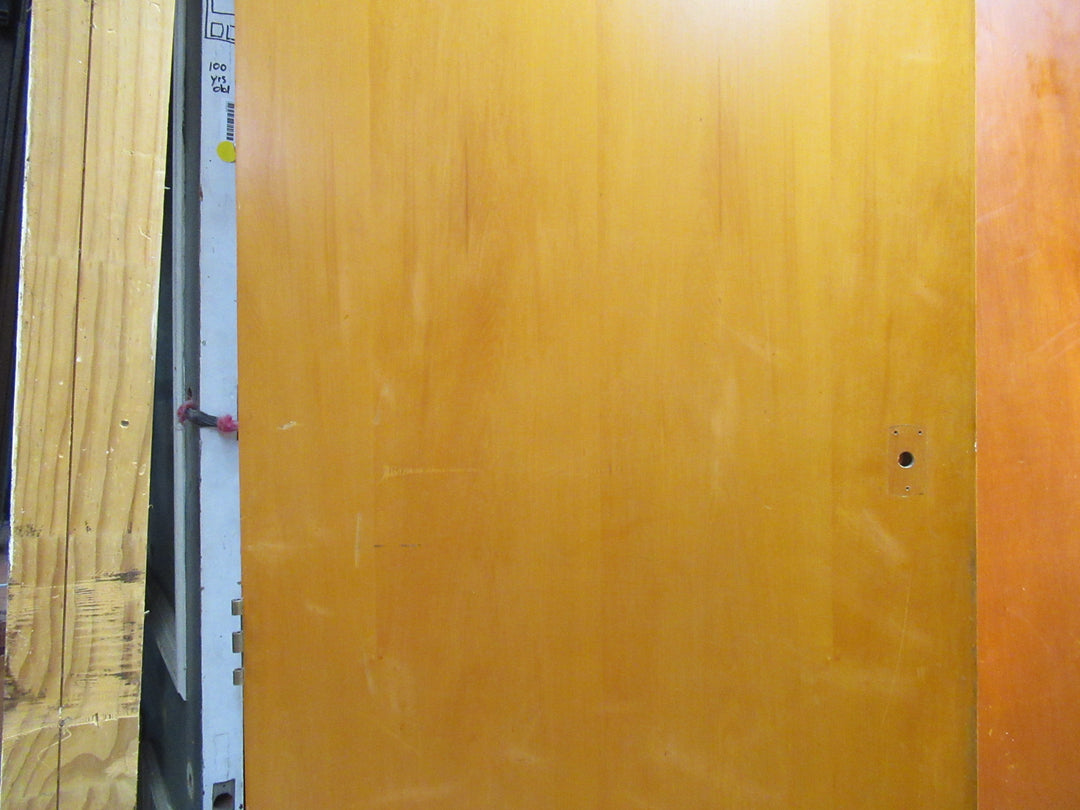 Hollow Core Paint Finish Door 1975H x 760W x 35D