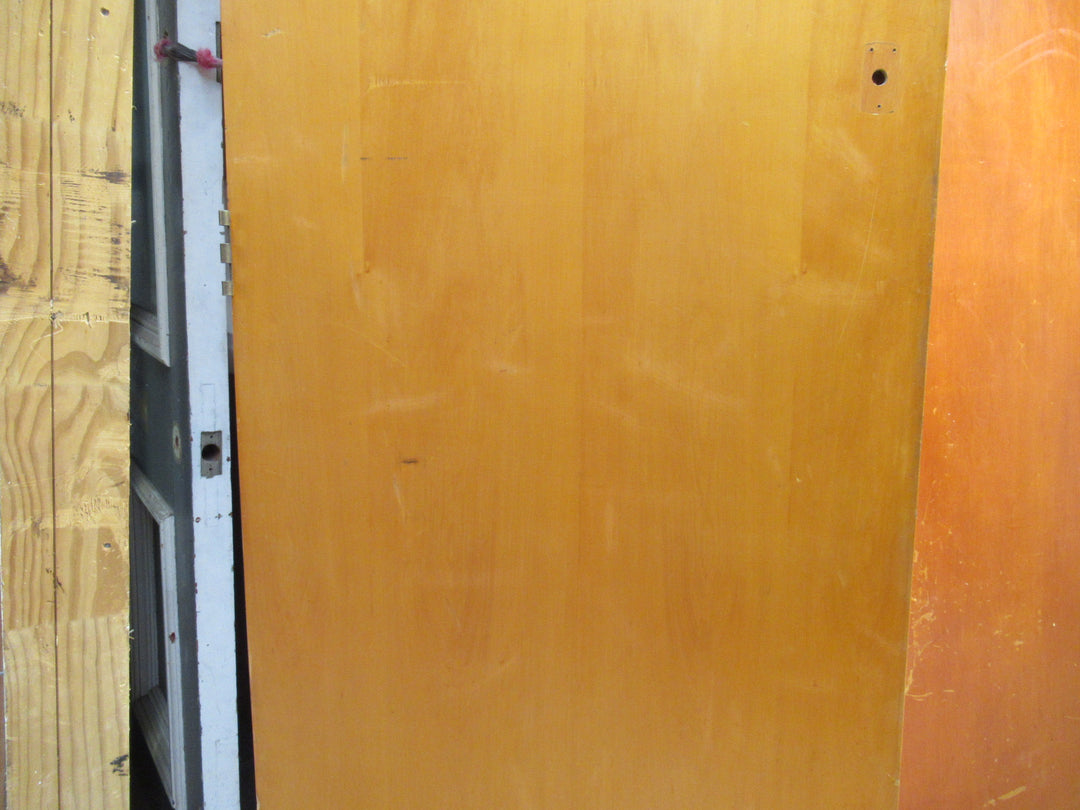 Hollow Core Paint Finish Door 1975H x 760W x 35D