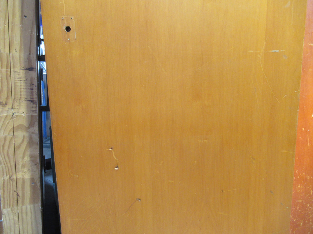 Hollow Core Paint Finish Door 1975H x 760W x 35D