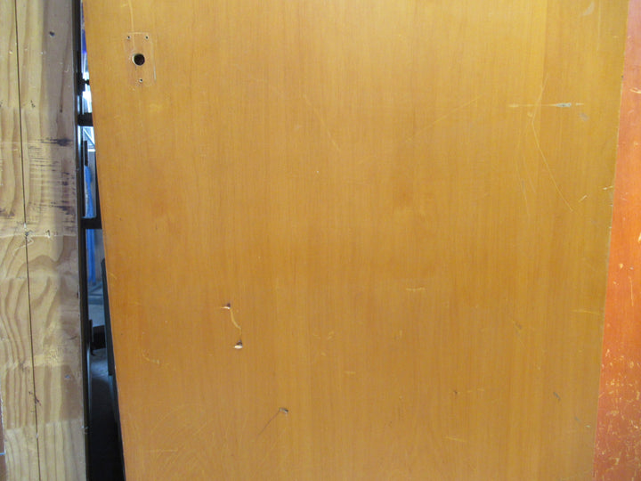 Hollow Core Paint Finish Door 1975H x 760W x 35D