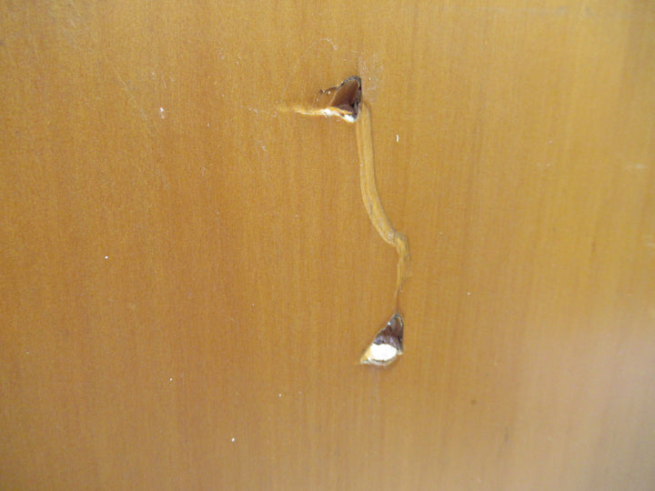 Hollow Core Paint Finish Door 1975H x 760W x 35D