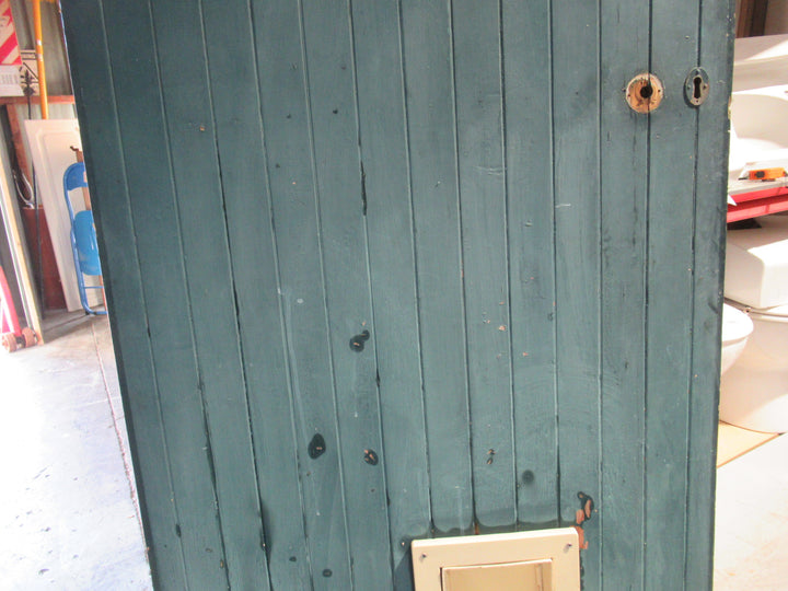 Exterior T & G Door with Cat Flap 2050Hx 810W