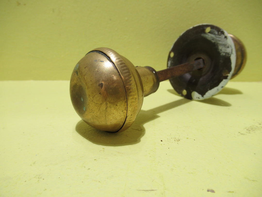 Brass Wide Ribbed Hollow Pressed Knob Set no Rose  170L x 45D