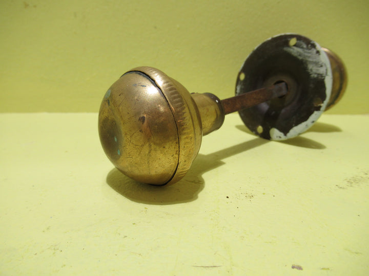 Brass Wide Ribbed Hollow Pressed Knob Set no Rose  170L x 45D