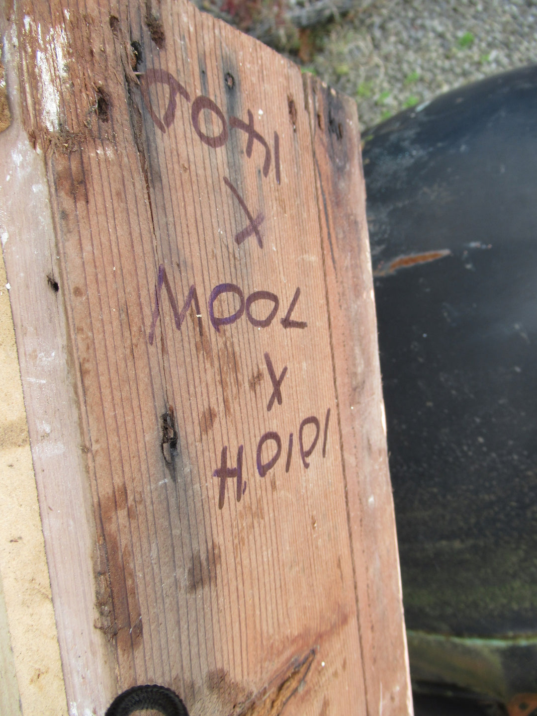 Chapman Taylor Obscure Casment Window with Metal Frame & Brass Hardware