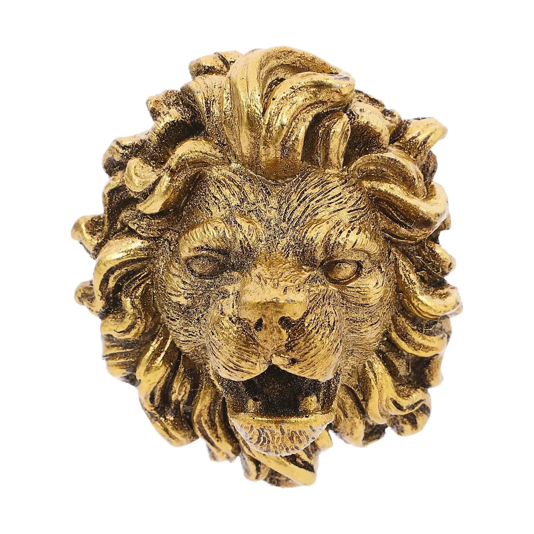 Wall Mounted Lion Head Fountain Nozzle for Garden Decorative Water Feature Spitter Outdoor Resin Pond Sprayer for Patio Backyard