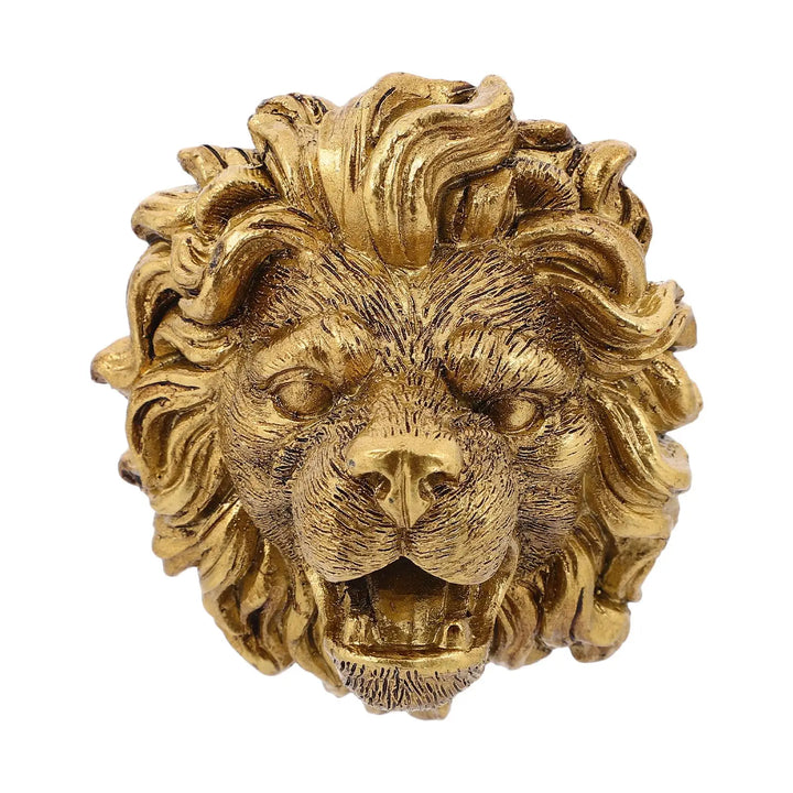 Wall Mounted Lion Head Fountain Nozzle for Garden Decorative Water Feature Spitter Outdoor Resin Pond Sprayer for Patio Backyard