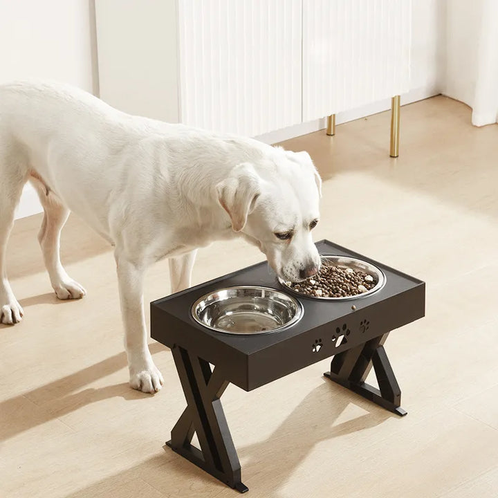 Dogs Double Bowls with Stand Adjustable Height for Medium Big Dog
