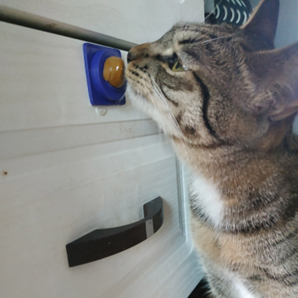 Healthy Cat Catnip Snacks Licking Candy