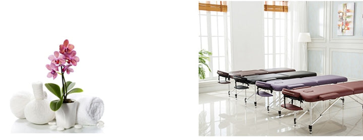 Professional Portable Spa Massage Tables with Bag