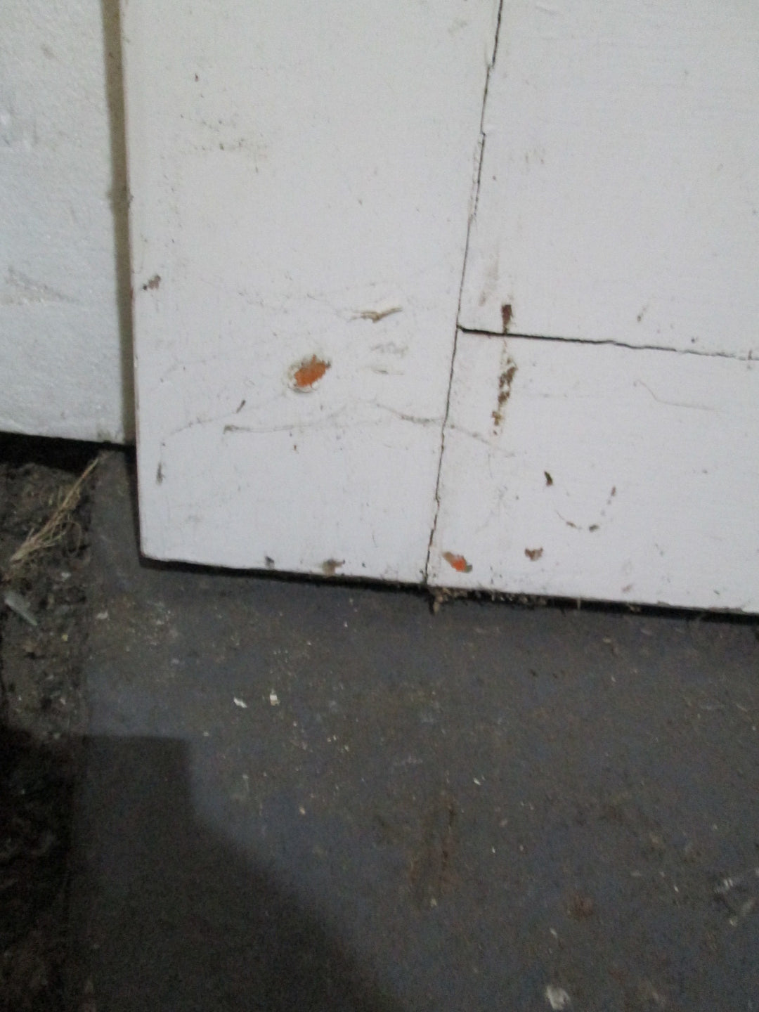 1 Lite Double Glazed French Door with Cat Flap 2050H x 680 x 45D