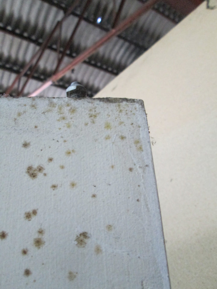 Bifolding Hollow Core Doors 1970H x 450W x 35D