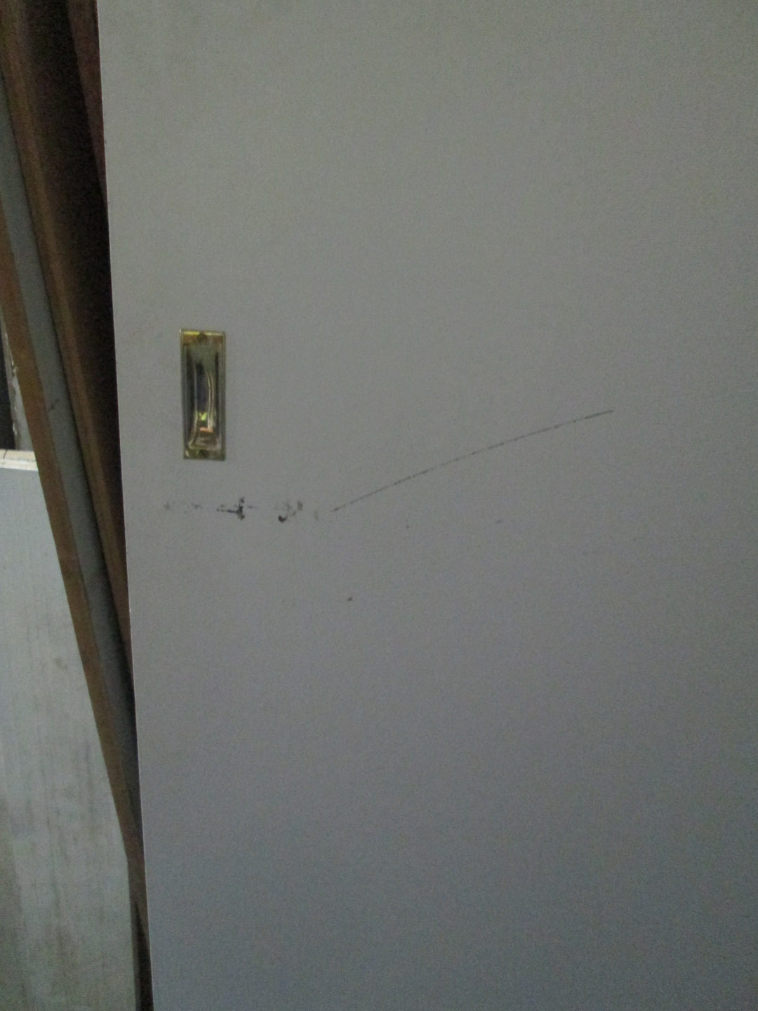 Paint Finish Hollow Core Door 1960H x 810W x 35D