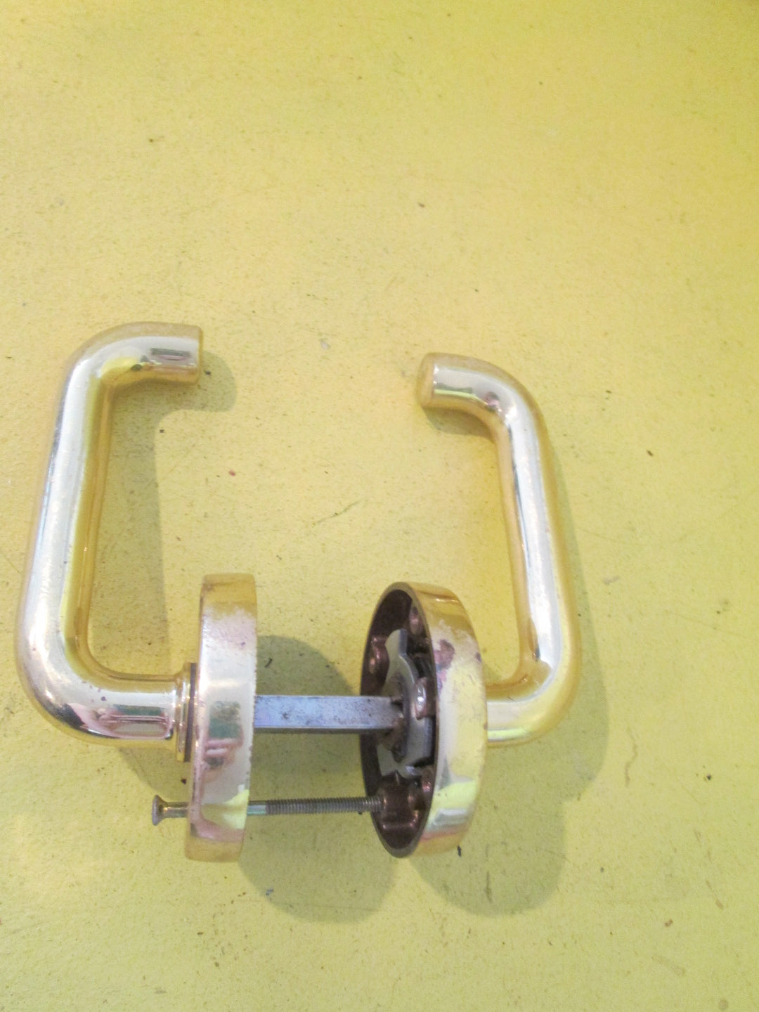 Legge Pacific Brass Lever Handle 62D/Lever 110L x 50H