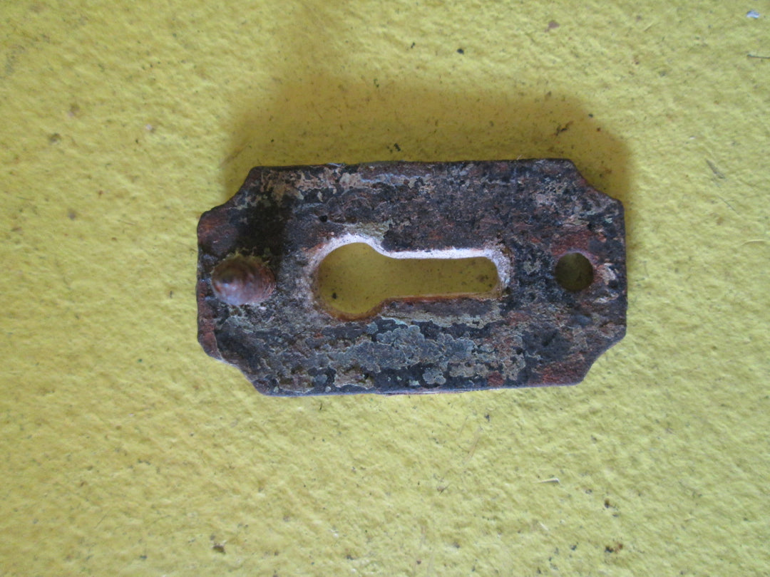 Key hole covers 1900's(Escutcheon's and cover plates)