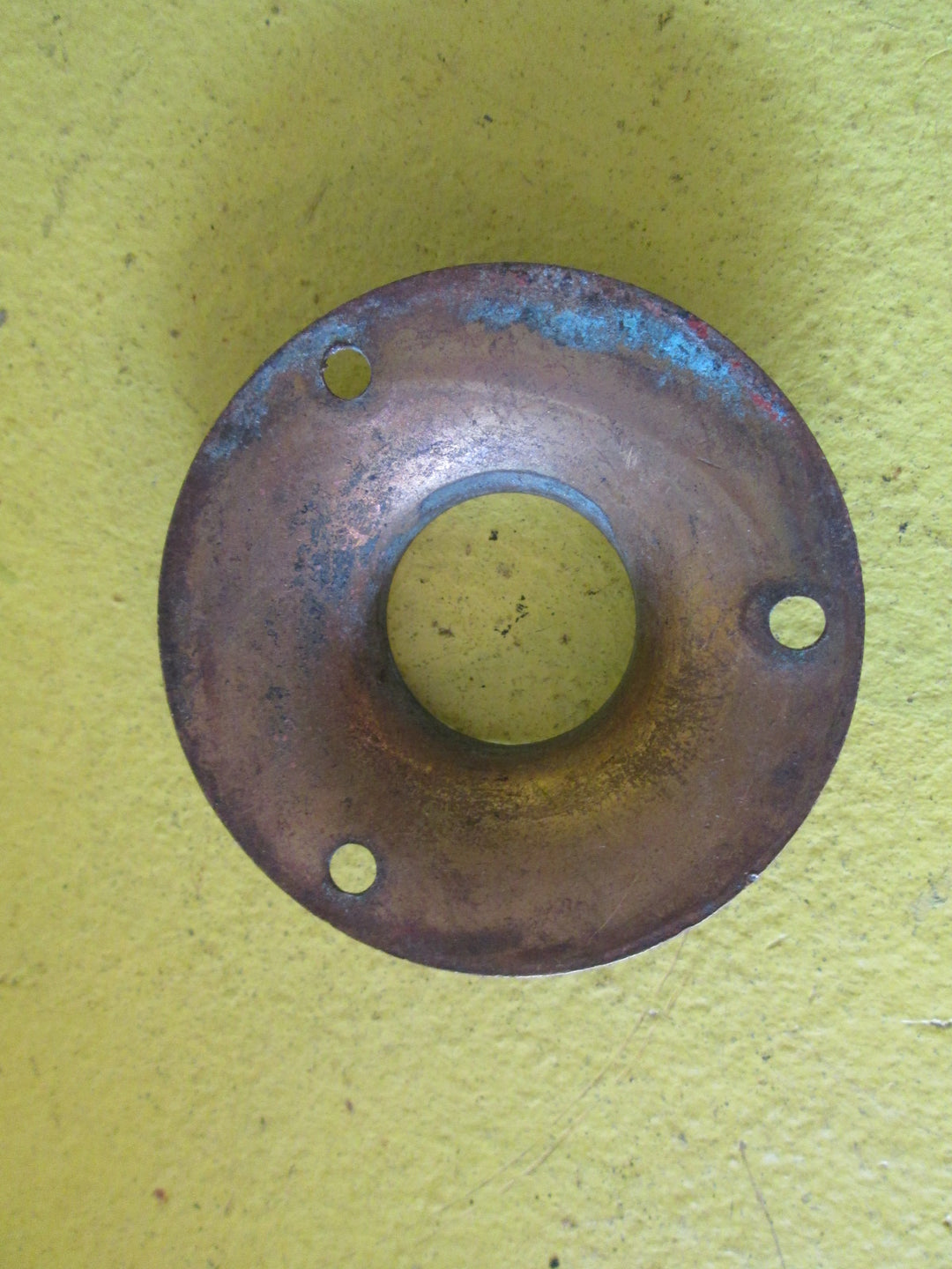 Brass Rose Door Plates 58, 62 Dai x 20-22W