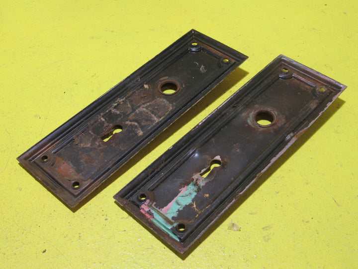 Copper Door Plate with Raised Edges   185L x 62W