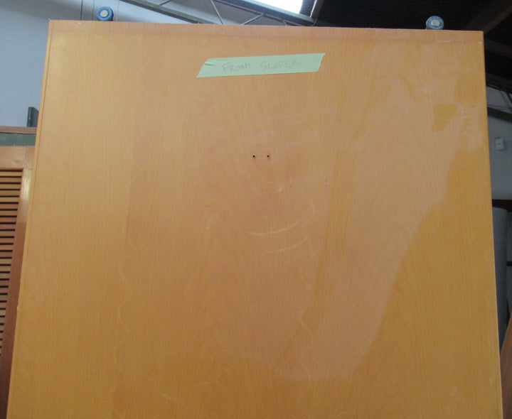 Hollow Core Sliding Door (CT)   1960H x 560W x 35D