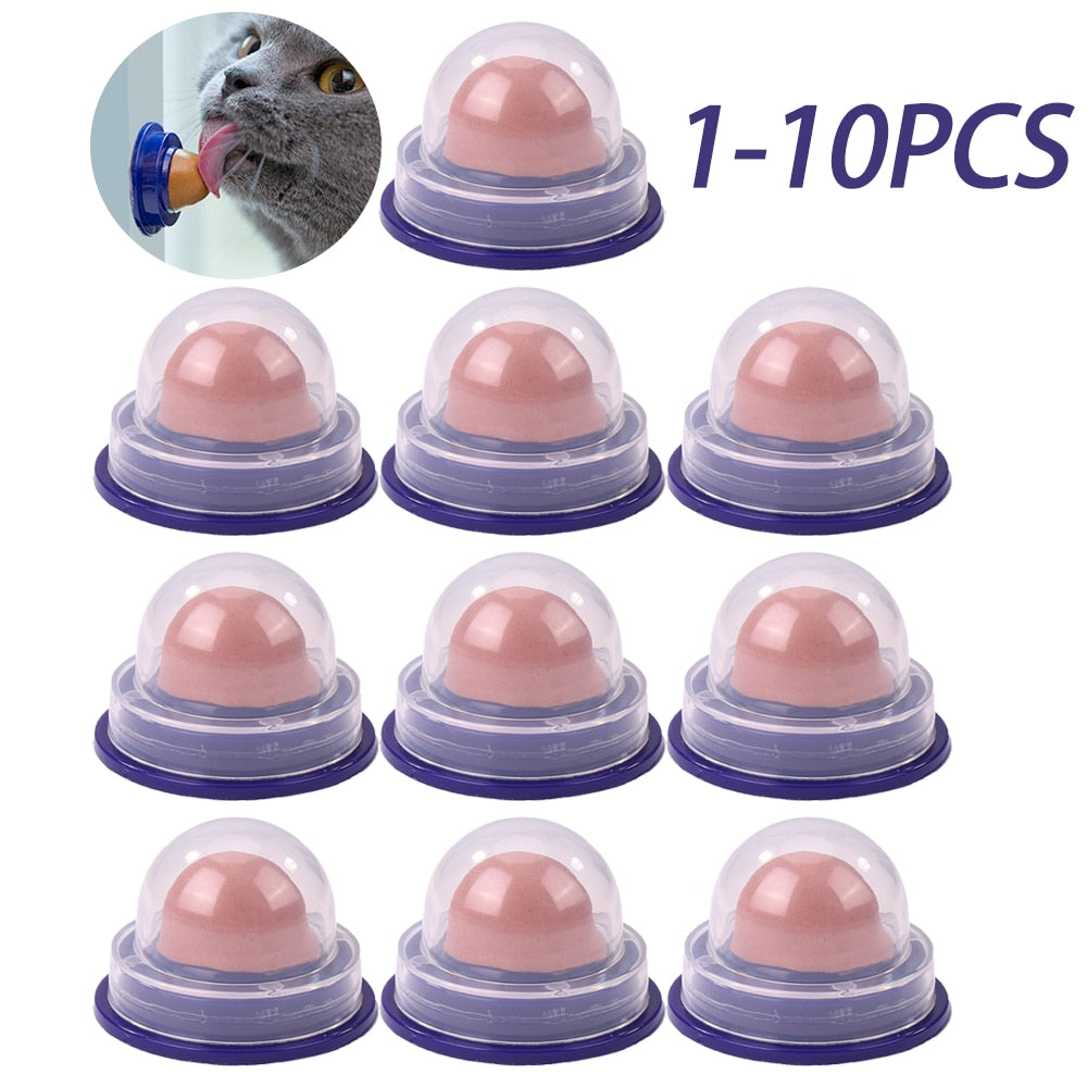 Healthy Cat Catnip Snacks Licking Candy