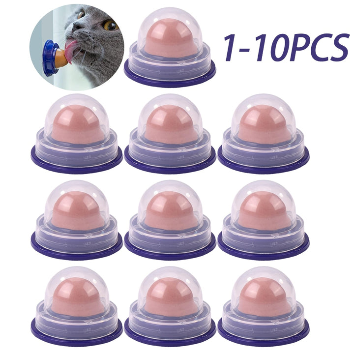 Healthy Cat Catnip Snacks Licking Candy