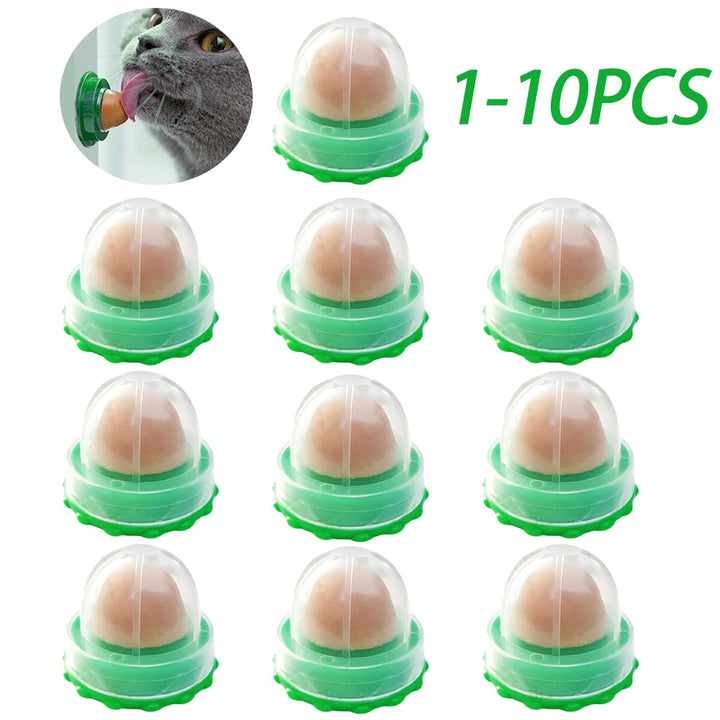 Healthy Cat Catnip Snacks Licking Candy