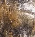 Geisha  24cmH x 4cm W x 3cmD