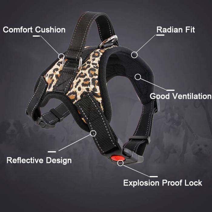 Dog Harness with Reflective Tape, Breathable Mesh and Leash