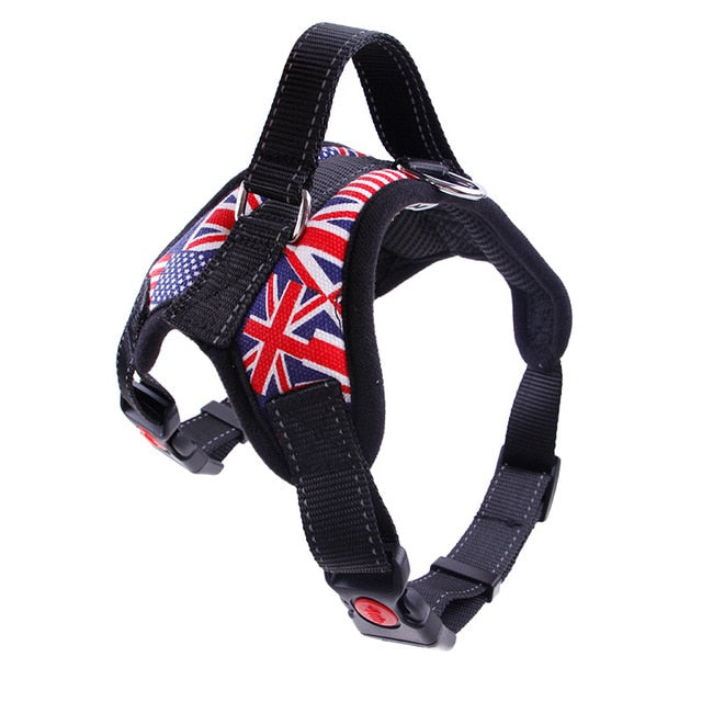 Dog Harness with Reflective Tape, Breathable Mesh and Leash