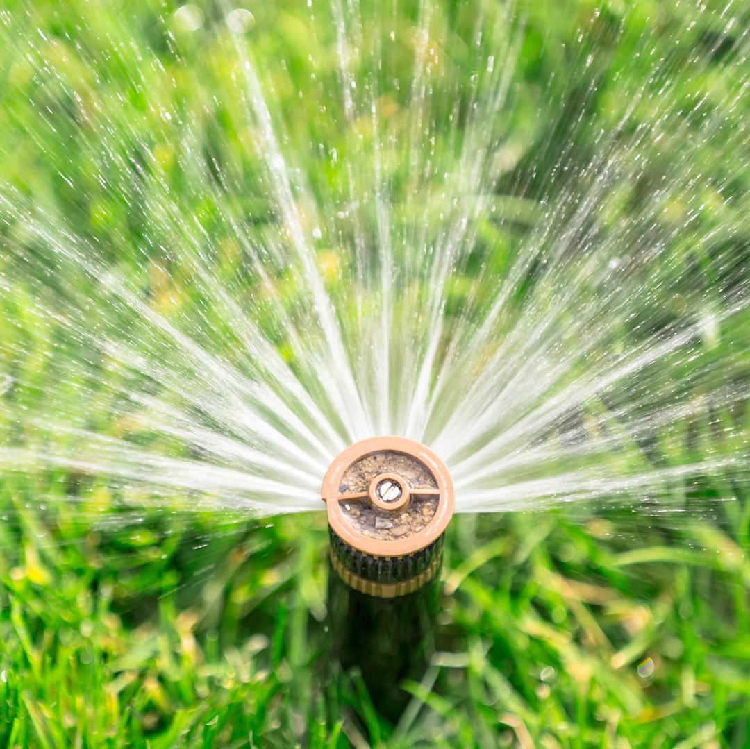 Outdoor Garden & Accessories