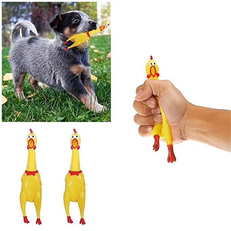 Special Treats & Toys