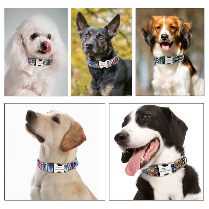 Personalized Small Medium Large Dog Cat Nylon Collar Custom Engraved Name ID Adjustable