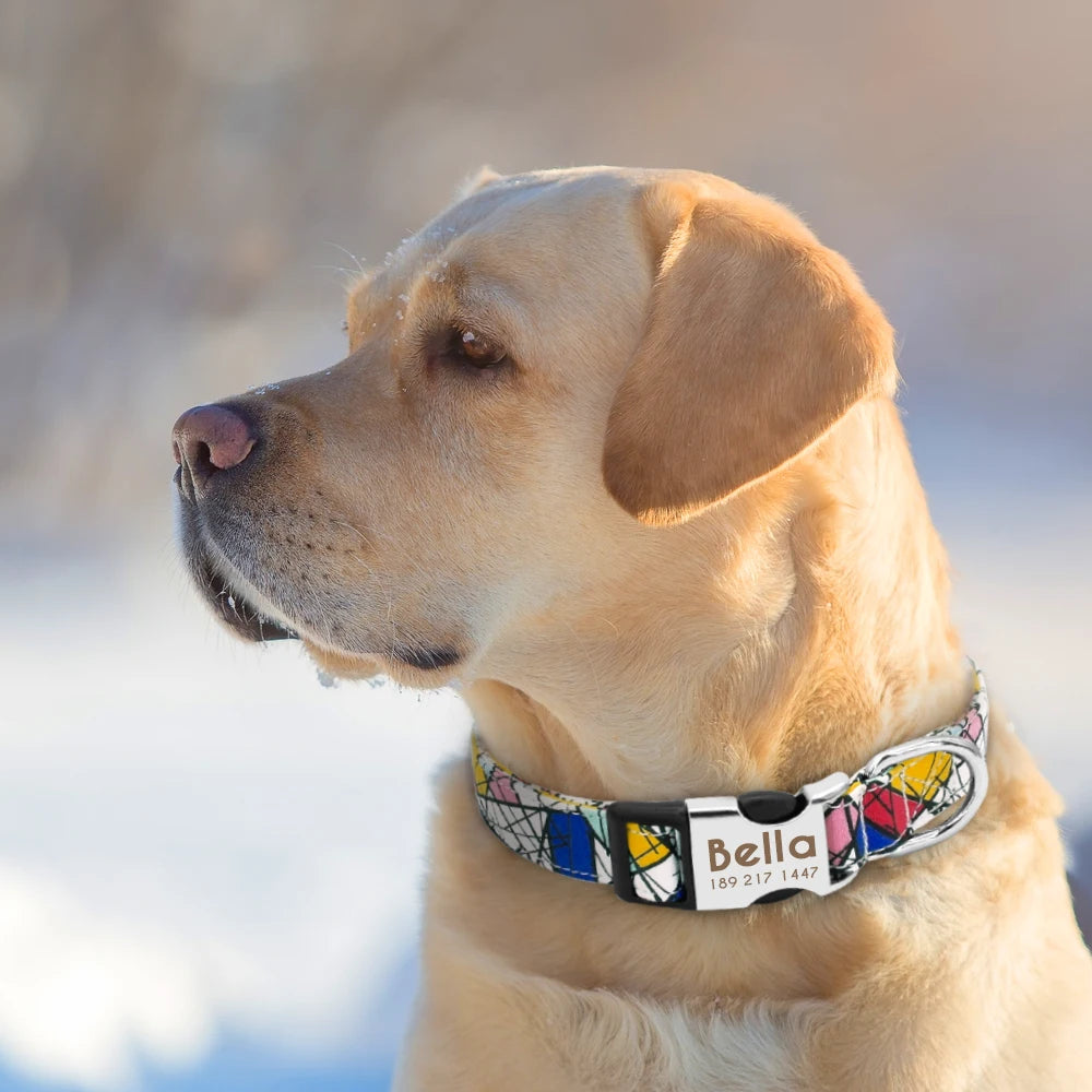 Personalized Small Medium Large Dog Cat Nylon Collar Custom Engraved Name ID Adjustable