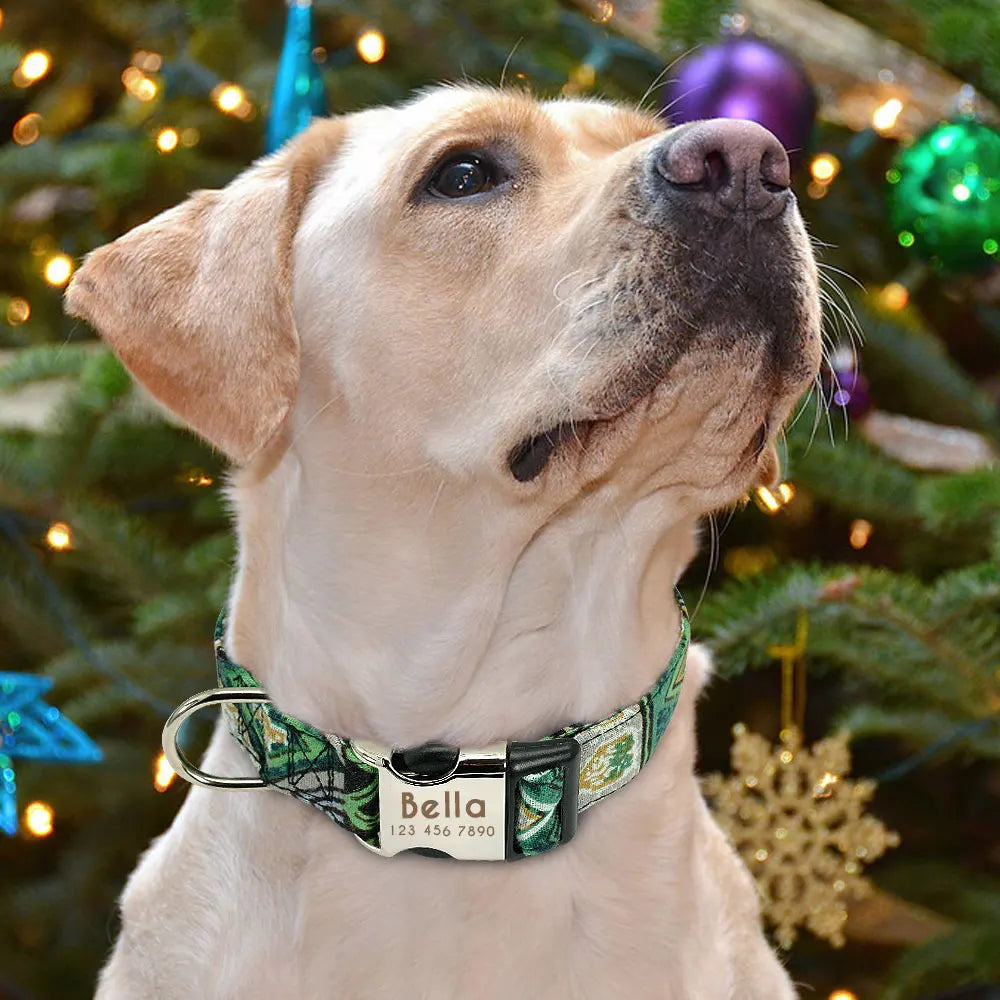 Personalized Small Medium Large Dog Cat Nylon Collar Custom Engraved Name ID Adjustable