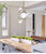 Wandering Earth Design Pendant Lights LED indoor fixtures Nordic hanging lamps Postmodern