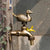 1Piece Decorative Solid Brass G1/2" Outdoor Garden Faucet Animal Handle Antique Cat Dog Bird Duck Snail Squirral