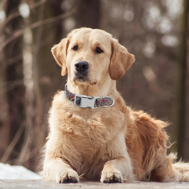 Personalized Small Medium Large Dog Cat Nylon Collar Custom Engraved Name ID Adjustable