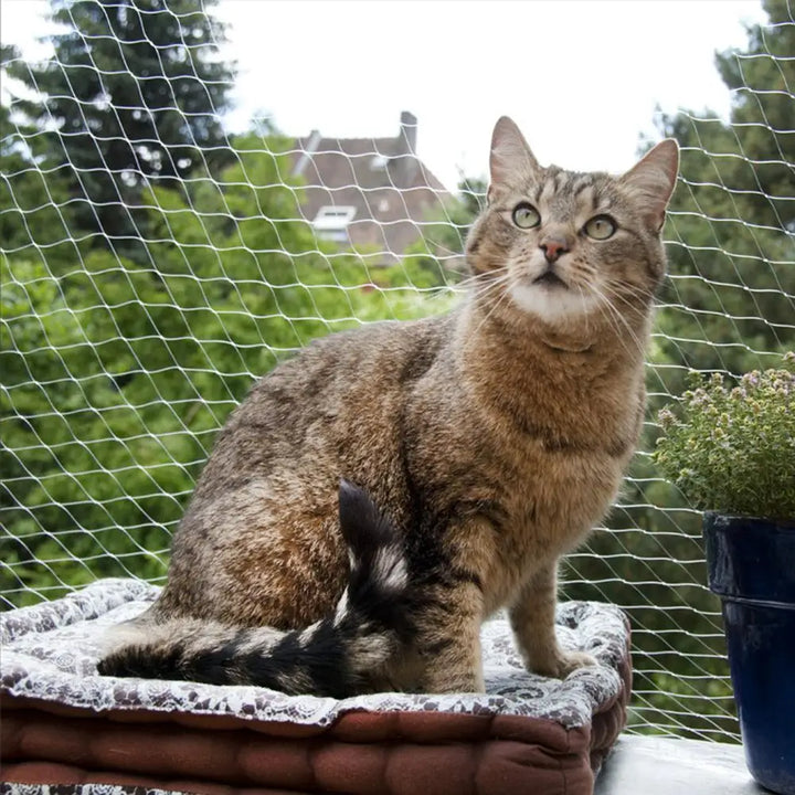 Anti Bird Catcher Netting Pond Net Pet Cat Dog Protective Fencing Mesh Fruit Vegetables Flower Garden Mesh Protect Pest Control