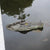 Multi Style Alligator Floating  Decoy Water Solution for Outdoor Pool Ducks Alligator Decoy Garden