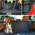 Dog Car Seat Cover Pet Travel Carrier Mattress Waterproof Dog Car Seat Protector With Middle Seat Armrest For Dogs