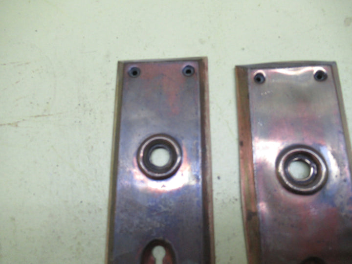 Antique Brass Door Plate with Rectangle Belvedered Edge 215L x 65W x 7D