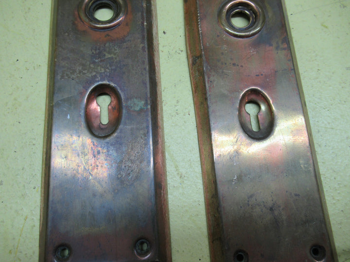 Antique Brass Door Plate with Rectangle Belvedered Edge 215L x 65W x 7D