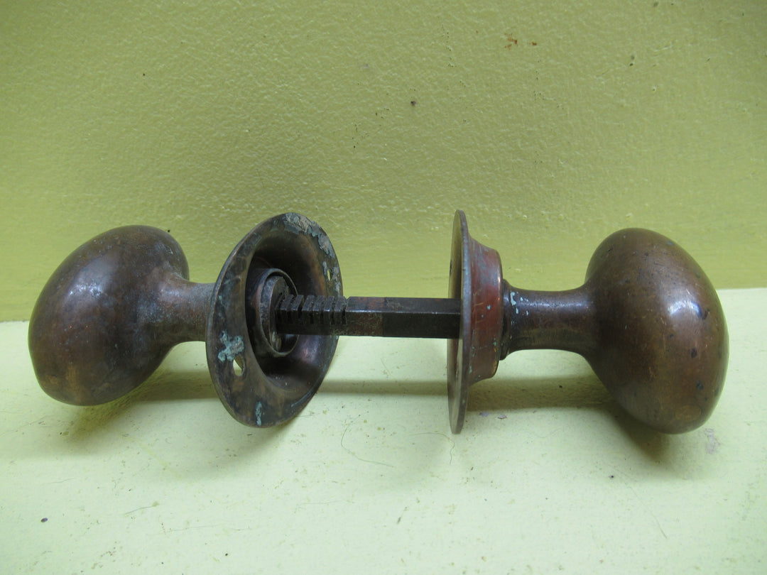 Solid Oval Brass Knob with 1 & 2 Oval Rosse Plates 45-98W x 60H/Plates 73L x 48W
